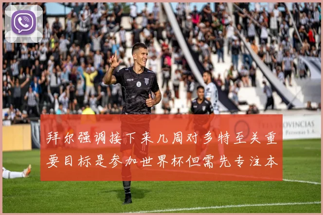 拜尔强调接下来几周对多特至关重要目标是参加世界杯但需先专注本赛季表现