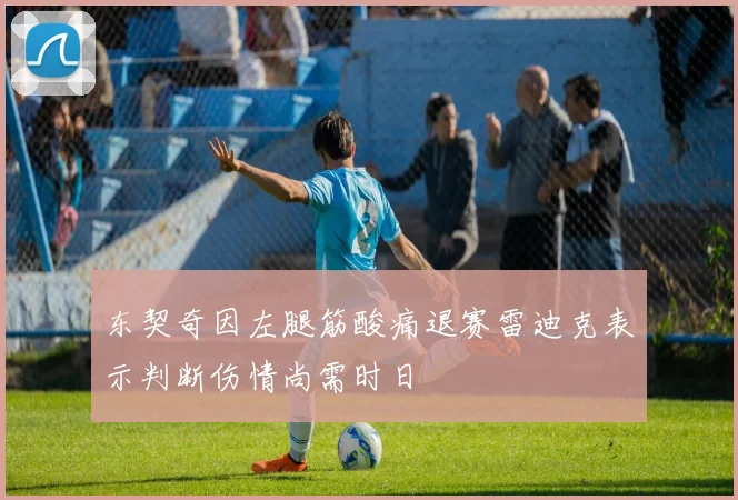 东契奇因左腿筋酸痛退赛雷迪克表示判断伤情尚需时日