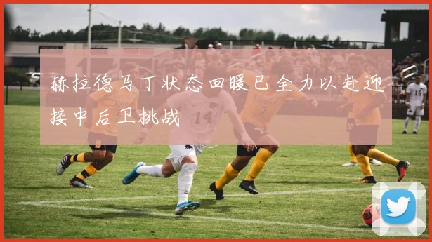 赫拉德马丁状态回暖已全力以赴迎接中后卫挑战